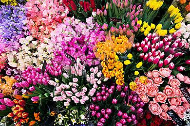 天诛系列开发商公开全新卡牌RPG新作